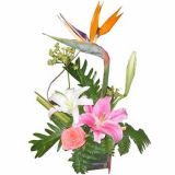 ӽʻٵ