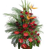 ӽʻٵ
