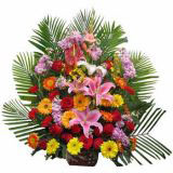 ӽʻٵ