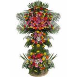 ӽʻٵ