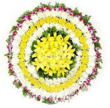 ӽҵ